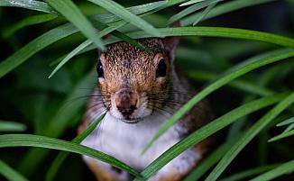 Data protection trends and regulations at Bitkom’s Privacy Conference 2025